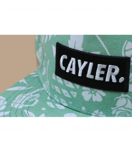 Cayler printed cap